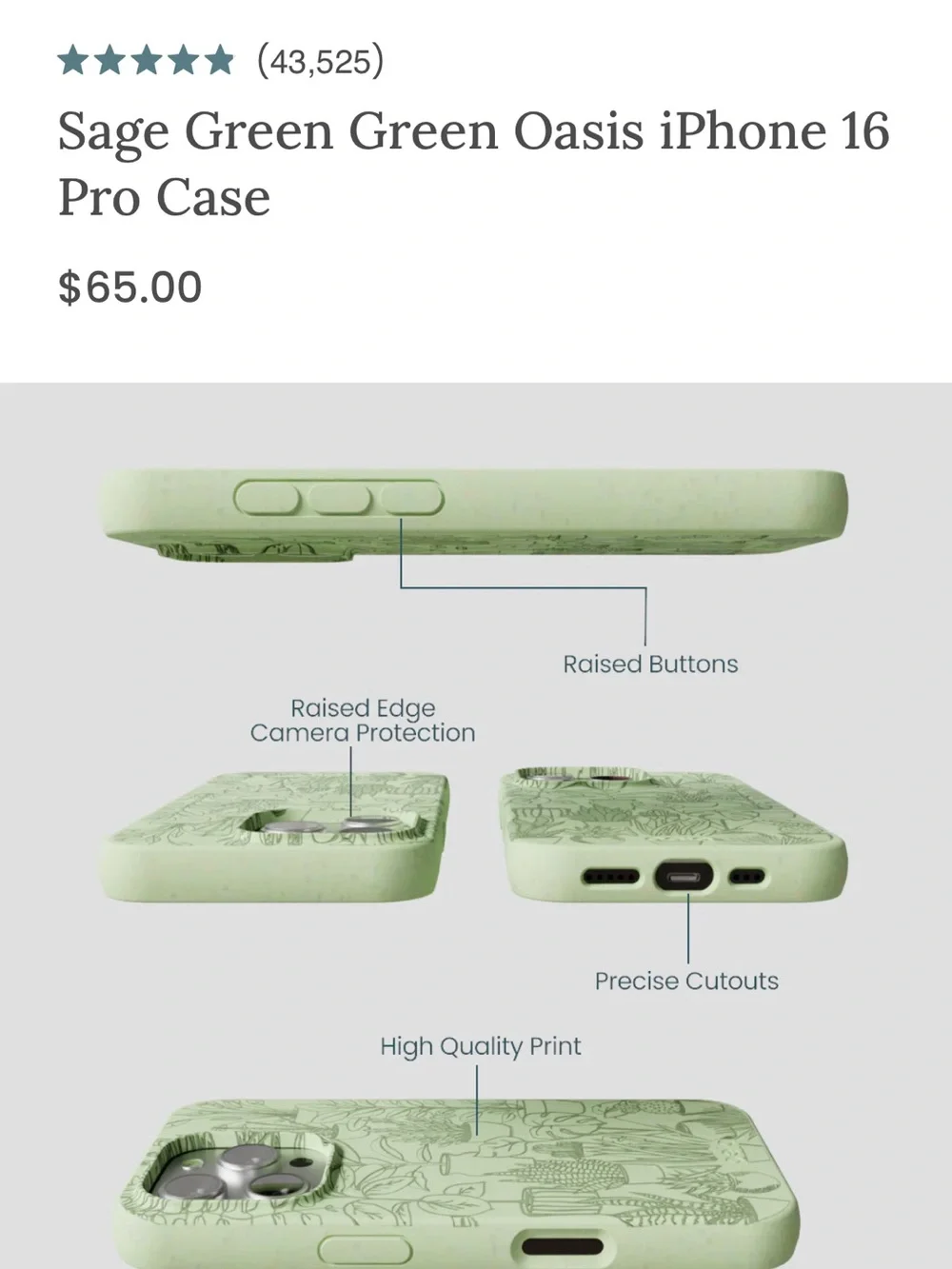 NWOT Pela Sage Green Oasis Mint Green Plant-Relief iPhone 16 Pro Case fits 17